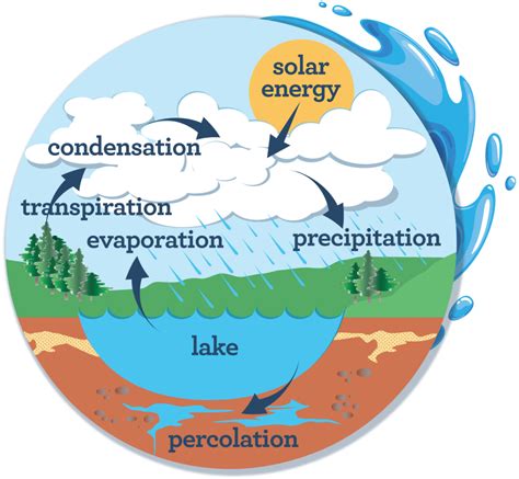 Water Cycle Chart