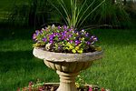 Water Fountain Planters