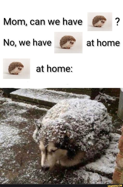 We Have At Home Meme Template
