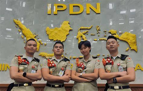 Website IPDN