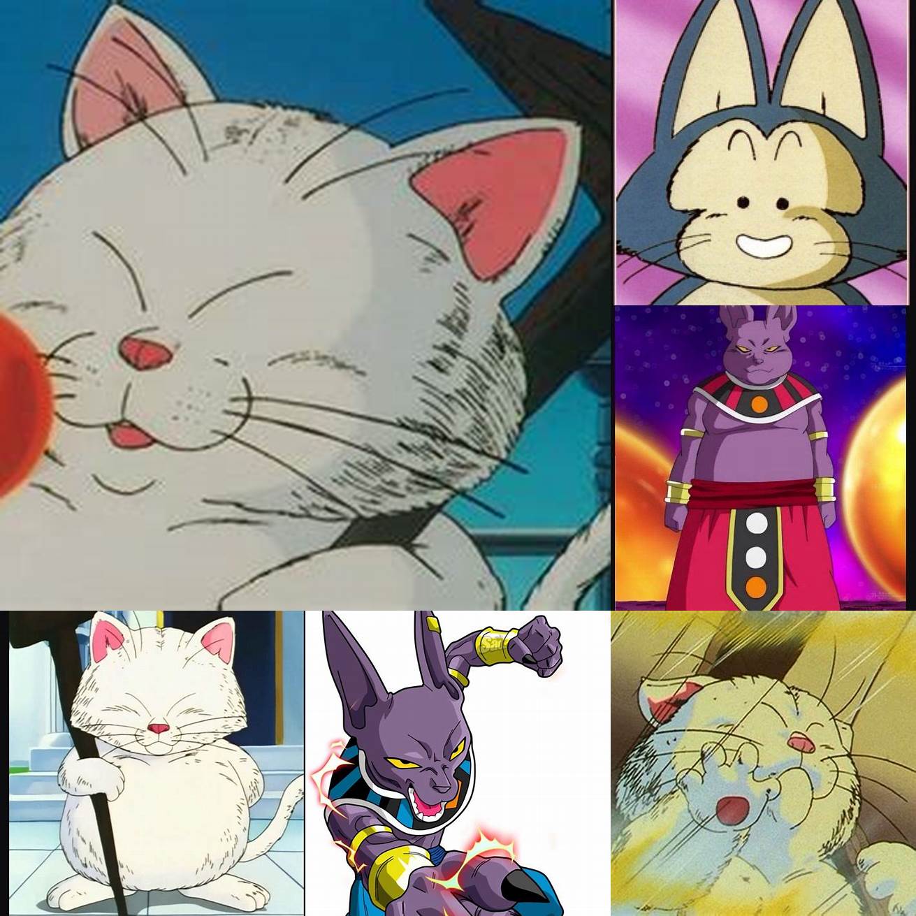 What is the Cat Dragon Ball Zs relationship with Goku