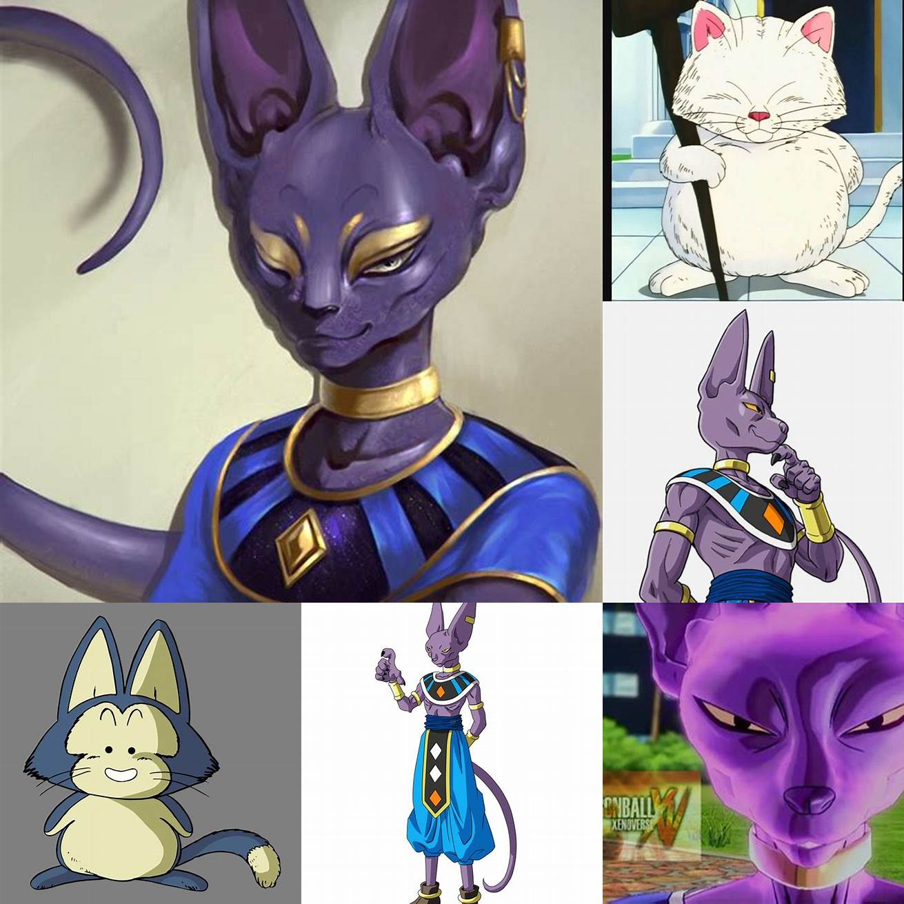 What is the significance of the Cat Dragon Ball Z in DBZ