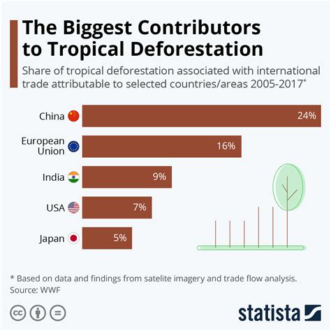 What Companies Cause The Most Deforestation