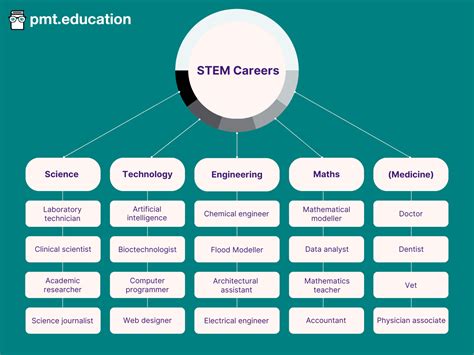 What Is A Career In Stem
