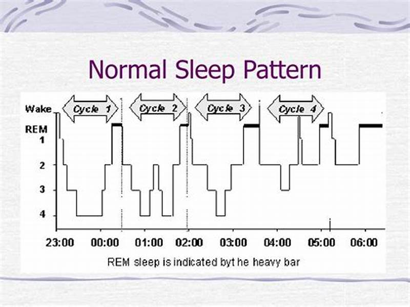 What Is A Normal Sleep Pattern Graph