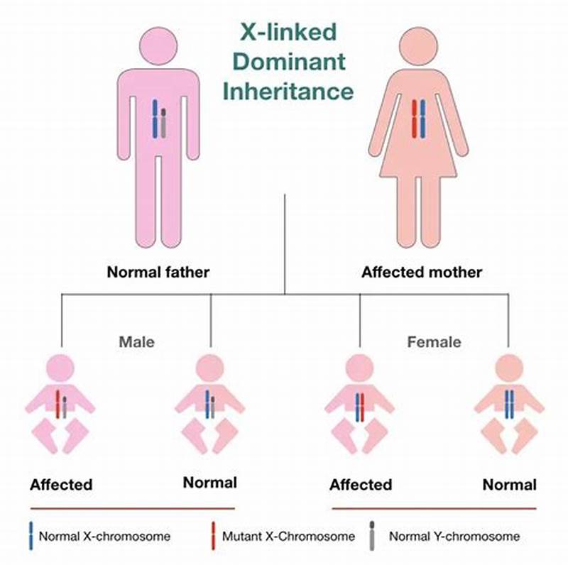 What Is Inheritance Pattern