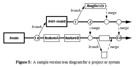 What do branch tag and trunk mean in Subversion repositories
