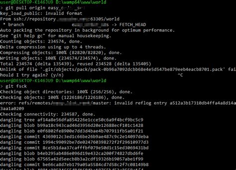What does Auto packing the repository for optimum performance mean