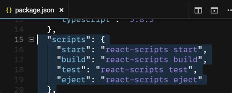 What does this react-scripts eject command do