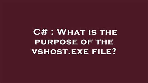What is the purpose of the vshostexe file
