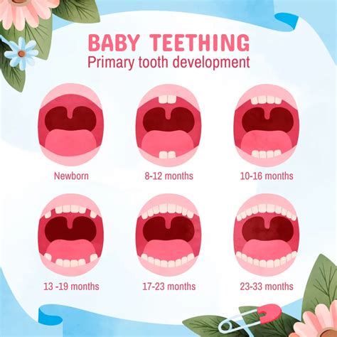 When Do Baby Teeth Come In Chart