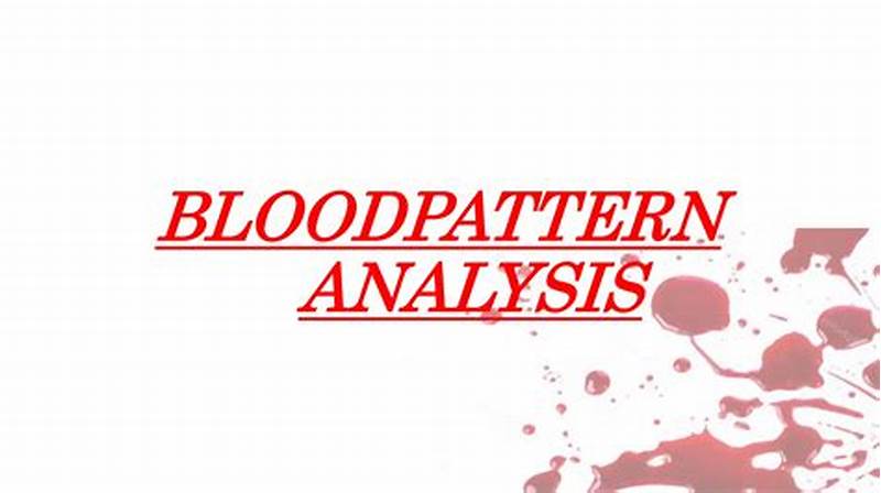 When Was Blood Pattern Analysis Software Invented