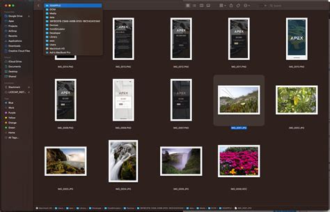 Where are iOS simulator screenshots stored