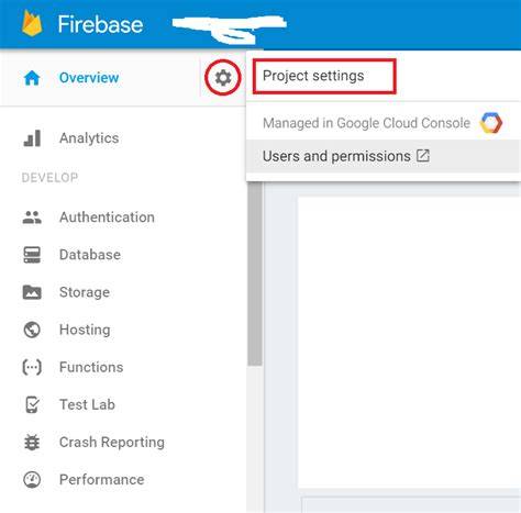 Where can I find the API KEY for Firebase Cloud Messaging