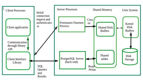 Where does PostgreSQL store the database