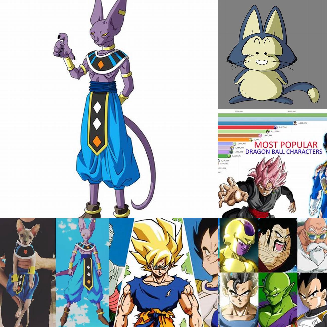 Who is the most popular Cat Dragon Ball Z character