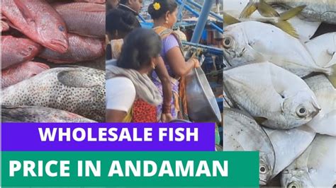 Wholesale Fish Prices