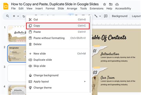Why cant I duplicate a slice with copy