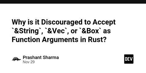 Why is it discouraged to accept a reference String Vec or Box as a function argument
