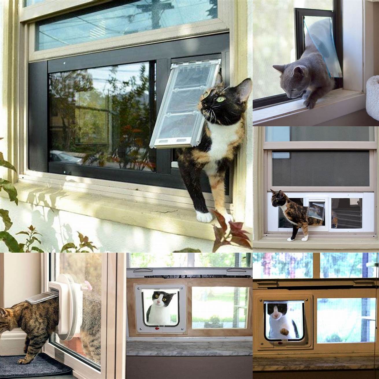 Window cat doors