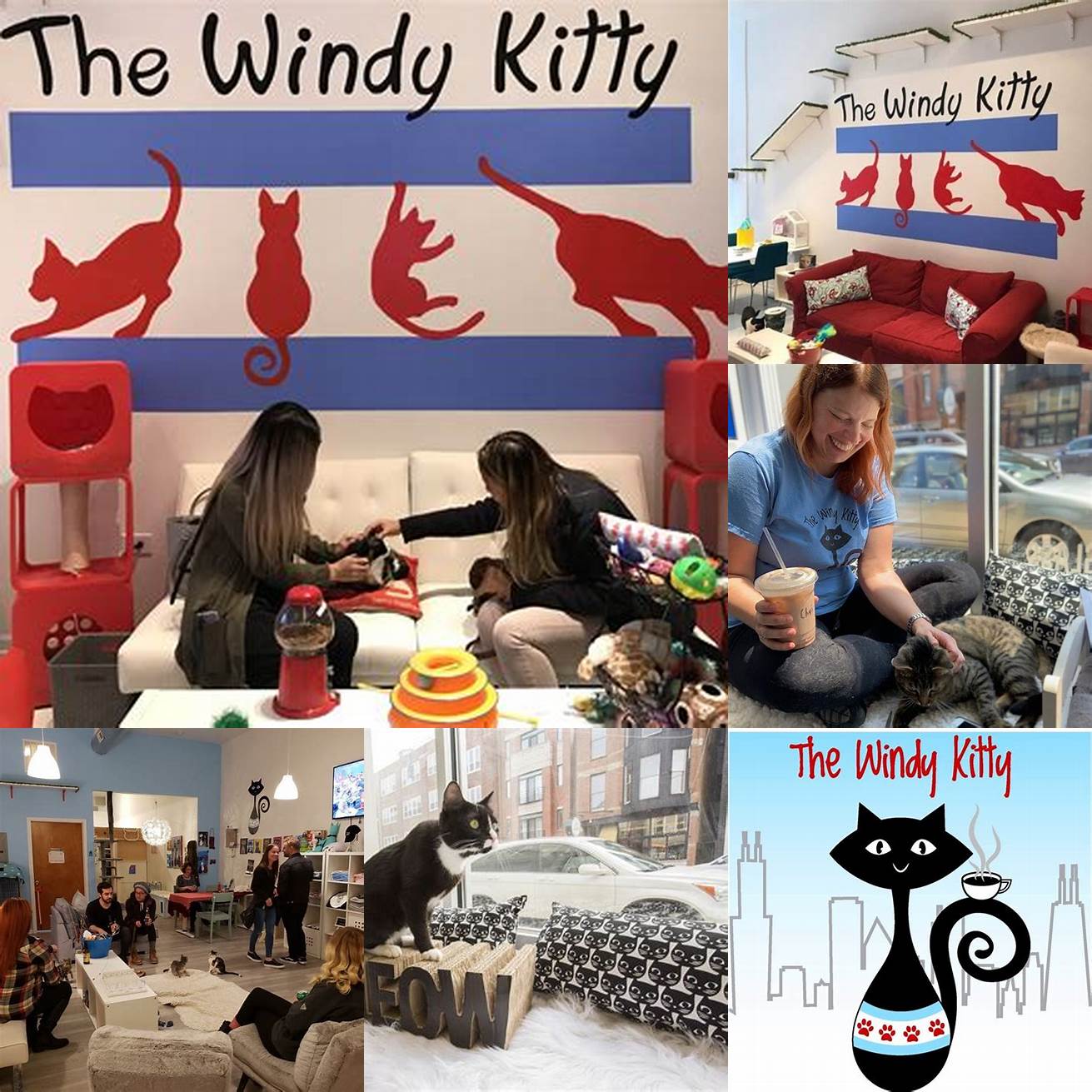 Windy Kitty Cat Cafe and Lounge
