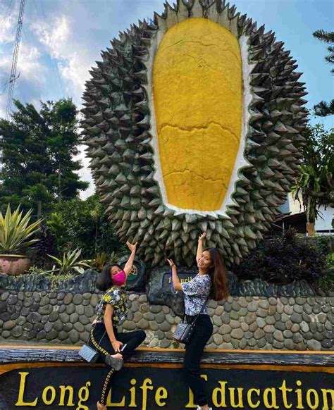 Wisata Kuliner Durian