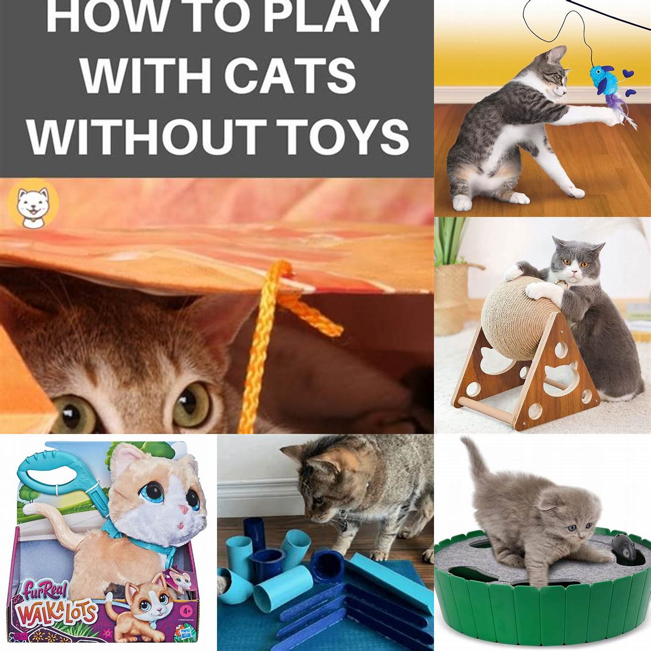 With or Without Toys