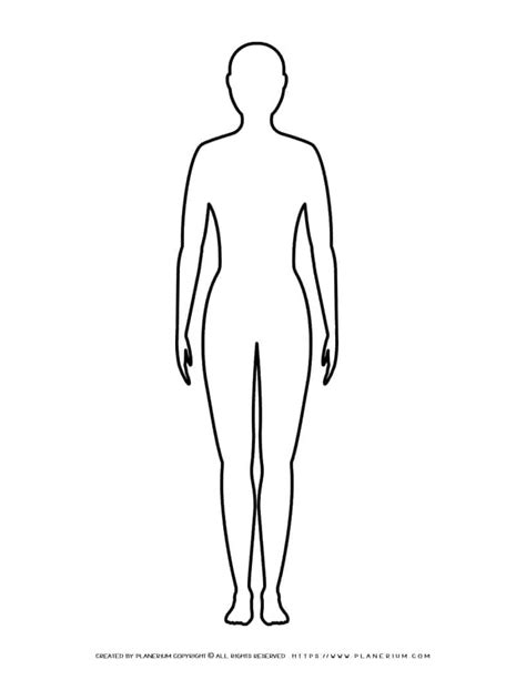 Woman Body Outline Template