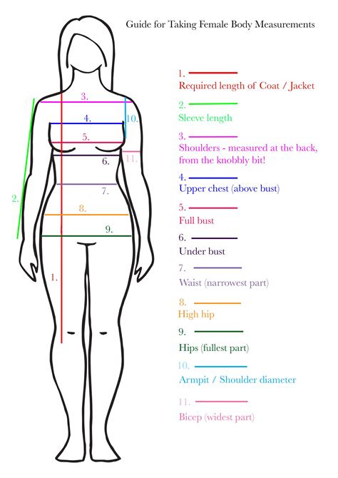 Womens Body Measurements Chart