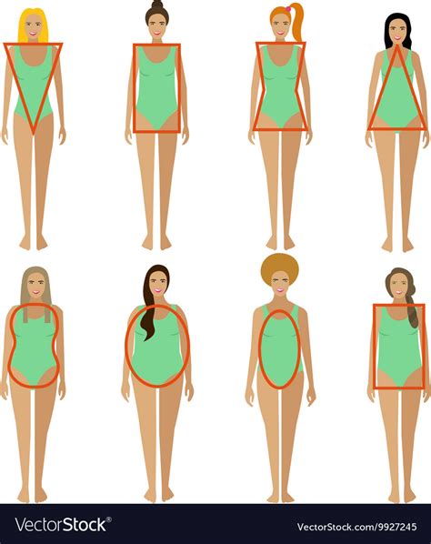 Womens Body Types Chart
