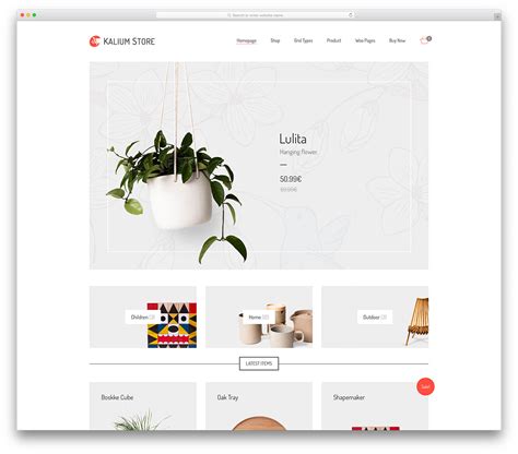 Wordpress Ecommerce Templates