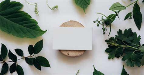 Wordpress Template Development