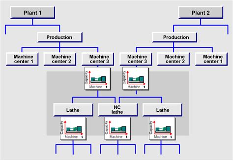 Hierarchy SAP