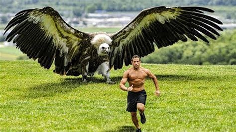 Eagle Ever