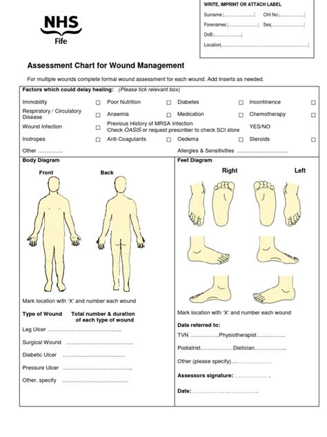 Wound Chart Assessment