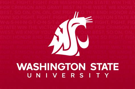 Wsu Global Campus Course Catalog