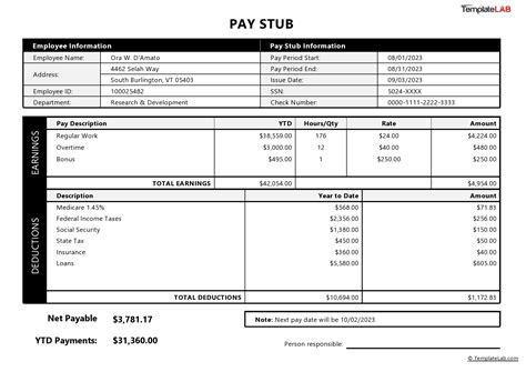 Year To Date Pay Stub Template
