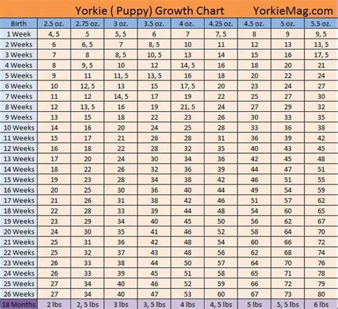 Yorkies Weight Chart
