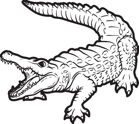 a for alligator coloring page