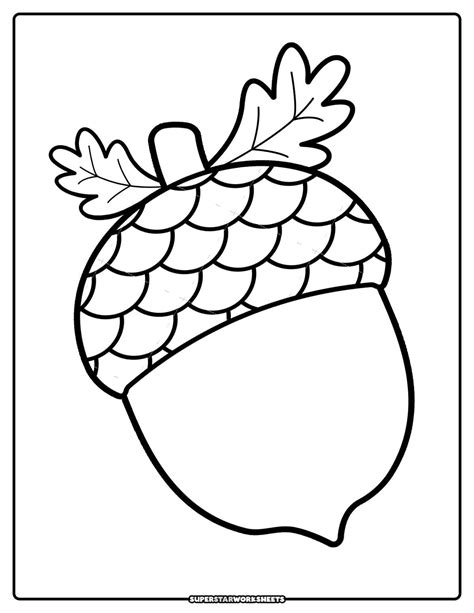 acorn coloring page