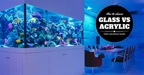 acrylic vs glass fish tank