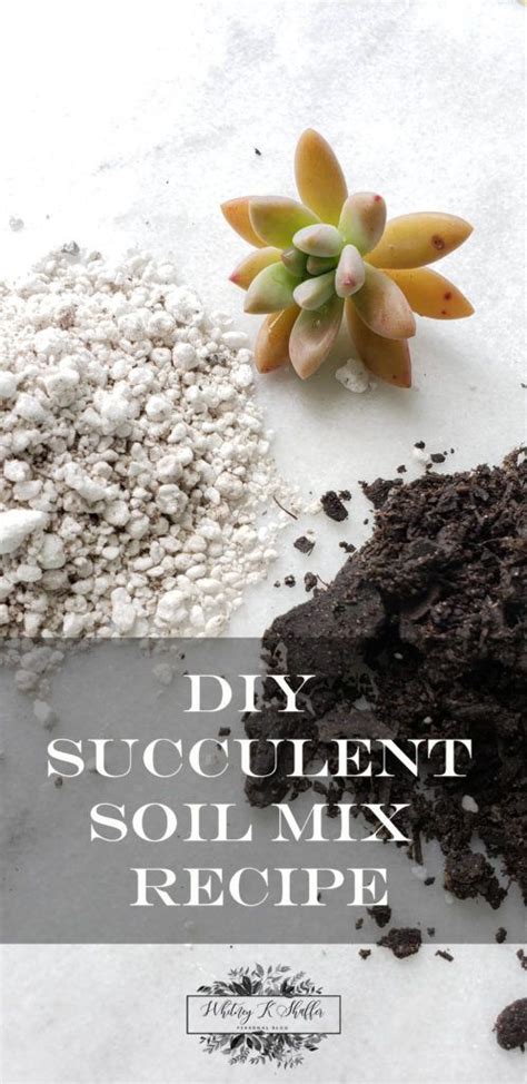adding perlite to succulent soil
