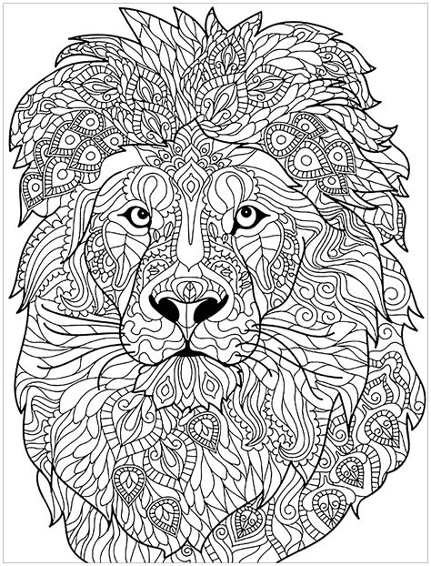 adult coloring book lion