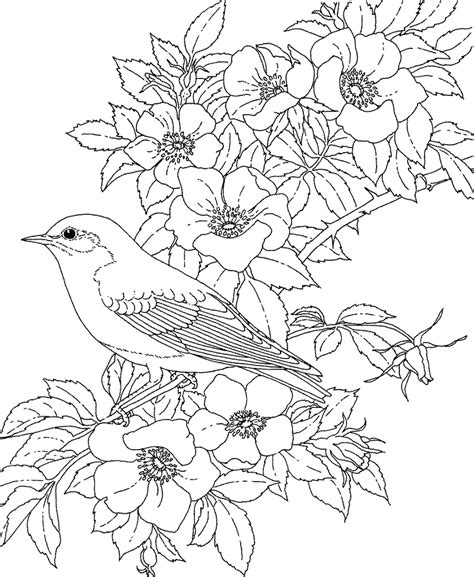 adult coloring flowers