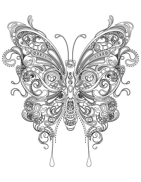 adult coloring page butterfly