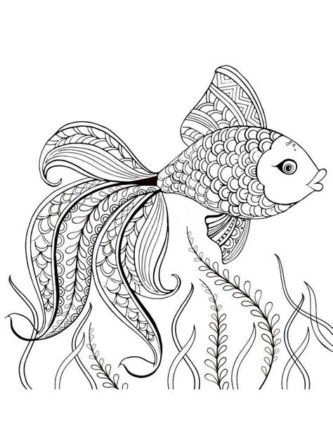 adult coloring page fish