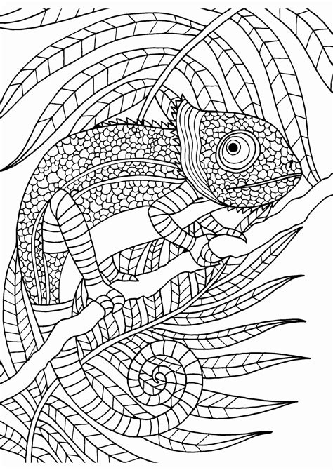 advanced coloring pages pdf