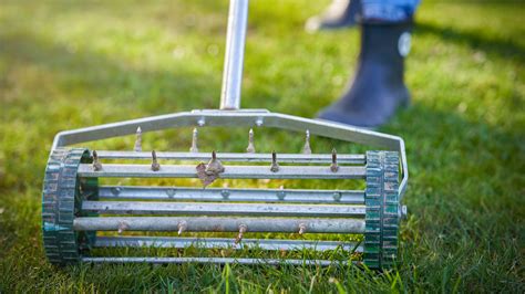aerating your lawn