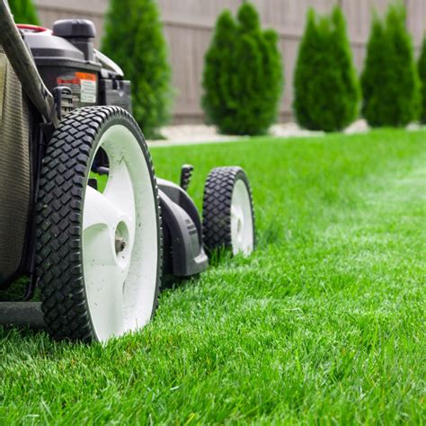affordable lawn care