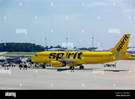 airline flights to myrtle beach south carolina